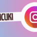 Picuki: The Anonymous Way to Browse Instagram